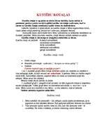 Konspekts 'Sporta metodika, rotaļa', 3.