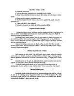 Konspekts 'Sporta metodika, rotaļa', 5.