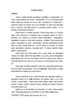 Referāts 'Izziņas procesi', 1.