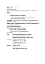 Konspekts 'Vizuālās mākslas ideju mape', 5.