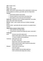 Konspekts 'Vizuālās mākslas ideju mape', 6.