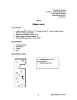 Konspekts 'Fizikālais svārsts', 1.