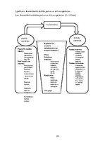 Referāts 'Norēķinu kartes izmantošanas veidi Latvijā laikā posma no 2012. līdz 2015.gadam', 29.