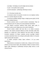 Referāts 'Nomas un īres līgums', 8.