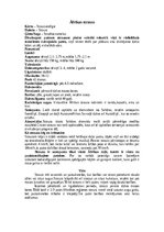 Konspekts 'Nelidojošie putni', 8.