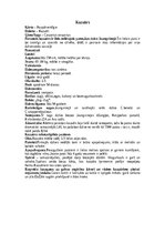 Konspekts 'Nelidojošie putni', 12.