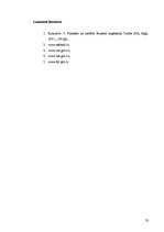 Referāts 'Investīcijas, to veidi', 24.