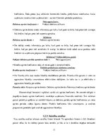 Referāts 'Finanšu pārskatu analīze SIA "Bite Latvija"', 11.