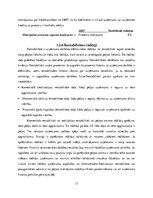 Referāts 'Finanšu pārskatu analīze SIA "Bite Latvija"', 13.