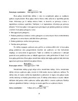 Referāts 'Finanšu pārskatu analīze SIA "Bite Latvija"', 14.