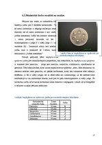 Referāts 'Antibiotikas un rezistence pret tām', 17.