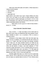 Referāts 'Skaņa', 6.