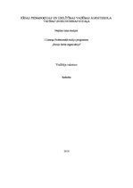 Referāts 'Vadītāja raksturs', 1.