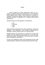 Referāts 'Vadītāja raksturs', 3.