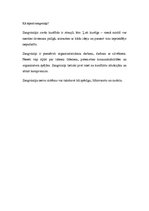 Referāts 'Vadītāja raksturs', 5.