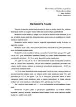 Referāts 'Bezskaidra nauda', 1.