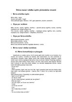 Referāts 'Eksāmena darbs logopēdijā', 3.