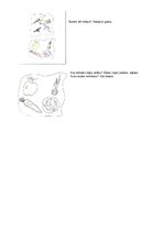 Referāts 'Eksāmena darbs logopēdijā', 28.