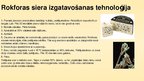 Prezentācija 'Biotehnoloģijas cilvēka dzīvē', 4.