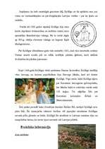 Referāts 'Tūrisms Kuldīgas rajonā', 10.