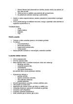 Konspekts 'Uzmanība', 2.