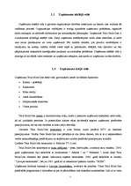 Prakses atskaite 'Mārketings SIA Telia MTC', 5.