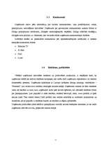 Prakses atskaite 'Mārketings SIA Telia MTC', 11.