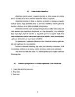 Prakses atskaite 'Mārketings SIA Telia MTC', 14.