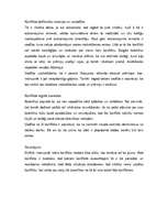 Konspekts 'Konflikta risināšana', 2.