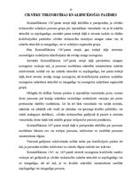 Referāts 'Cilvēku tirdzniecība', 10.
