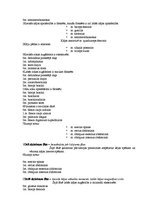 Referāts 'Skrējiena fāzu anatomiskais raksturojums', 6.