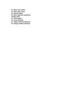 Referāts 'Skrējiena fāzu anatomiskais raksturojums', 8.