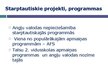 Prezentācija 'Angļu valoda kā starptautiskā saziņas valoda', 6.