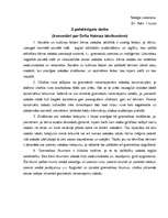 Konspekts 'Komentāri par Della Haimza izteikumiem', 1.