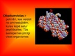 Prezentācija 'Olbaltumvielu denaturācija', 3.