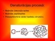 Prezentācija 'Olbaltumvielu denaturācija', 11.