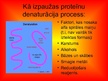 Prezentācija 'Olbaltumvielu denaturācija', 19.