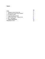 Referāts 'Internets', 1.