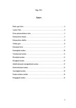 Referāts 'Socializācijas teorijas. Z.Freids', 2.