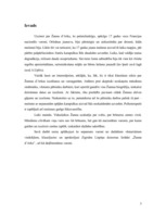 Eseja 'Žanna d'Arka. Mīts vai patiesība', 3.