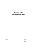 Konspekts 'Biznesa modelis - ideja', 1.