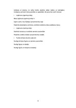 Konspekts 'Biznesa modelis - ideja', 6.