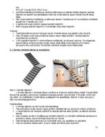 Konspekts 'Pētījums par kāpņu konstruēšanu un to veidiem', 12.