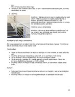 Konspekts 'Pētījums par kāpņu konstruēšanu un to veidiem', 25.