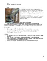 Konspekts 'Pētījums par kāpņu konstruēšanu un to veidiem', 28.