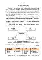 Diplomdarbs 'Mežniecības darbības attīstības iespējas', 19.