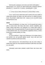 Referāts 'Tūrisms Latvijas ekonomikā', 18.