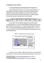 Referāts 'Tūrisms Latvijas ekonomikā', 21.