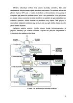 Diplomdarbs 'Objektorientēti relāciju datu bāzu piekļuves risinājumi', 59.