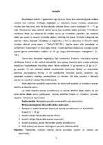 Referāts 'Operas aktualitāte mūsdienu jauniešu interesēs', 3.